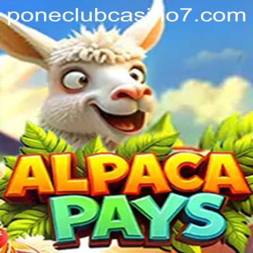 Discover the Thrills of AlpacaPays at Pone Club Casino